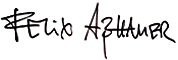 f-asshauer2 Schrift Felix Aßhauer